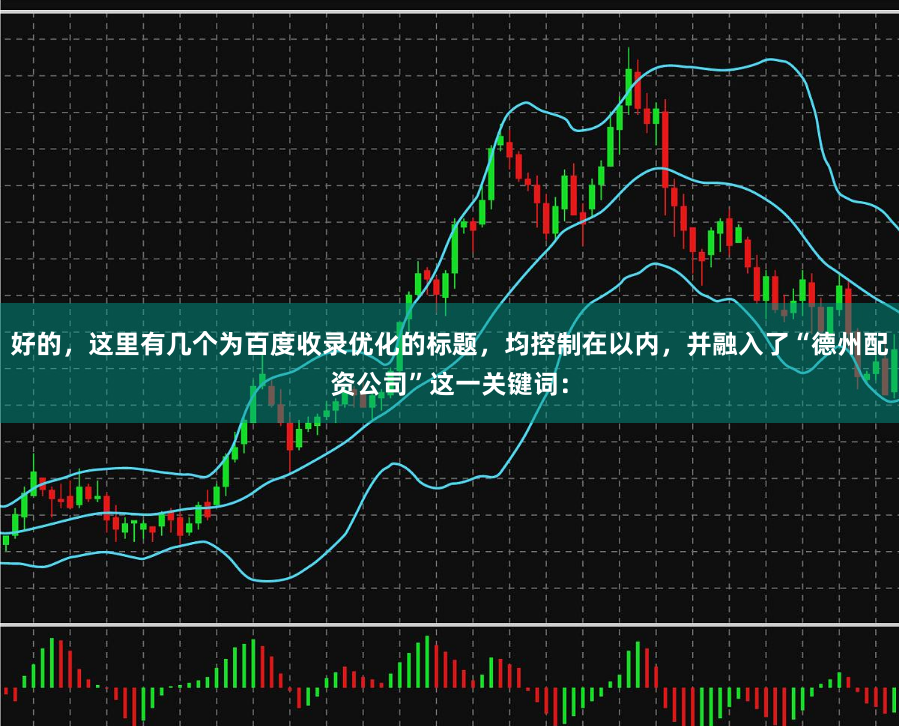 好的，这里有几个为百度收录优化的标题，均控制在以内，并融入了“德州配资公司”这一关键词：